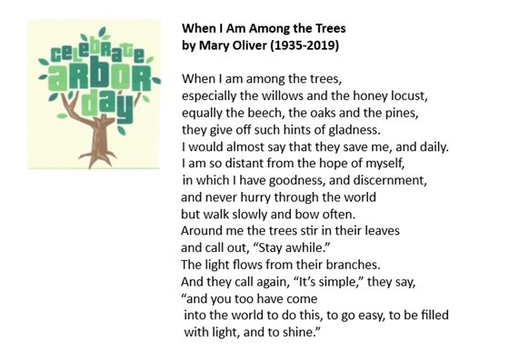Poem in Spring 2025 Tree Newsletter