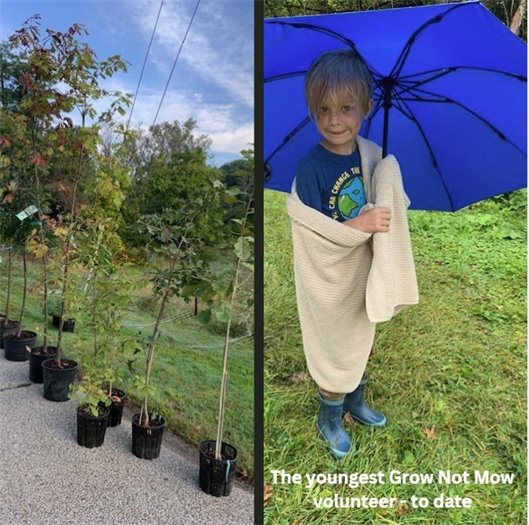 Photos from the 2025 Grow Not Mow event
