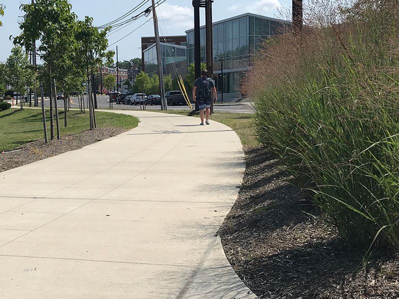 Farnsleigh Rd. Multipurpose Trail