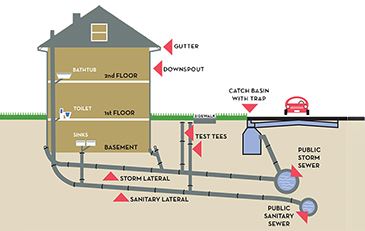 sewer-graphic-365x231