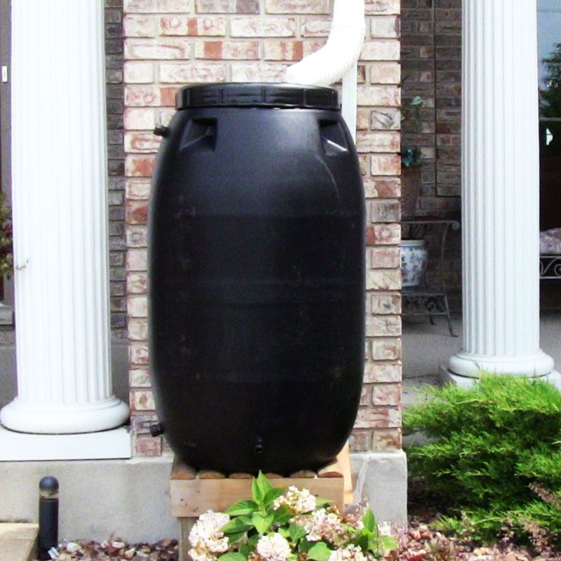 Rain Barrel